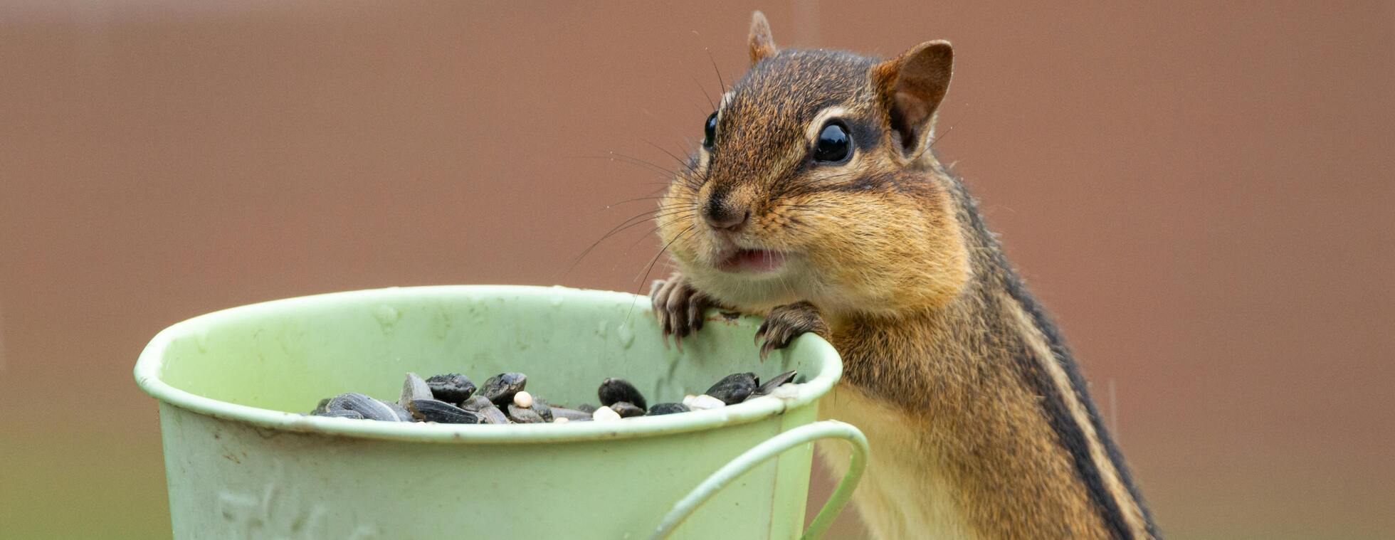 Fill Your Bucket with Kindness (in partnership with Embracing Our Differences)